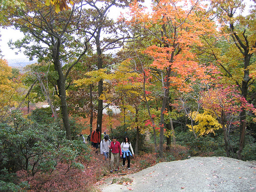 2785140-Bear_Mountain_Inn-Bear_Mountain_State_Park.jpg