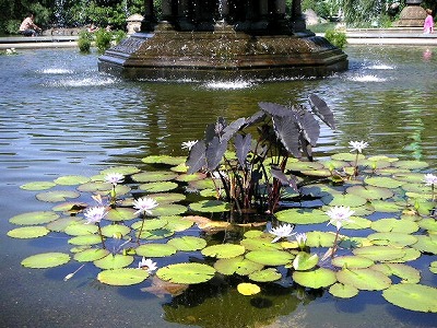 PICT0339.jpg