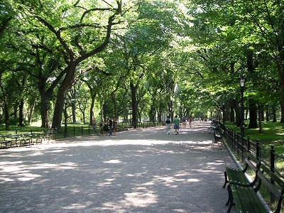 PICT0342.jpg