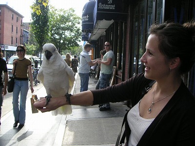 PICT0489.jpg