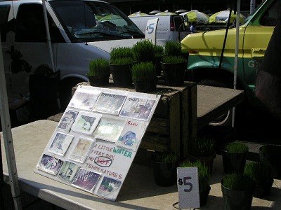 PICT0504.jpg