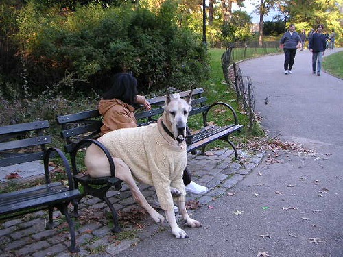 central%20park.jpg
