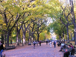 centralpark.jpg